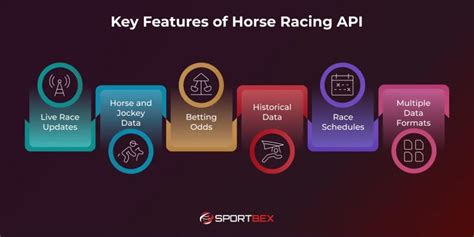 Image result for Racer API JavaScript