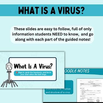 Image result for Viruses Explained