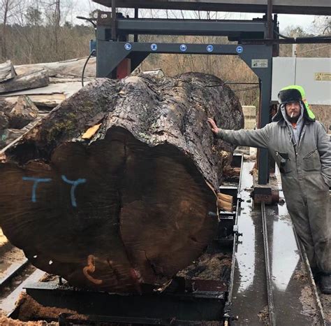 Chainsaw Milling Wood Cutting Machines - Chain Saw and Chainsaw