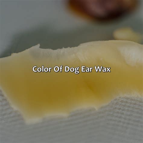 What Color Is Dog Ear Wax - colorscombo.com
