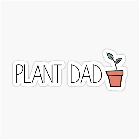 Grass ID please! Texas, part shade lawn. Crap soil. No runners, slow ...