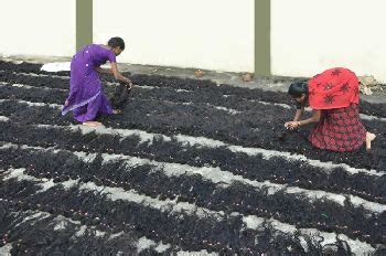 Gallery - Esli Enterprises from Anantapur Andhra Pradesh India