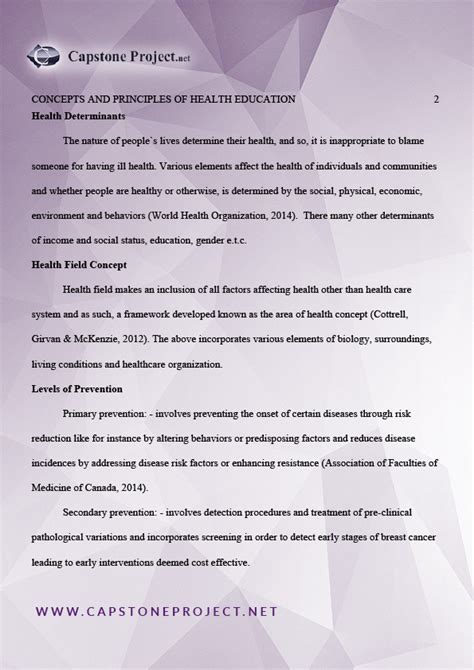 Capstone Project Examples 的图像结果