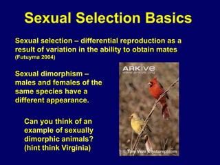 Image result for Introduction to Computer Science