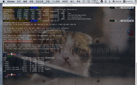 Command Line Operating System 的图像结果