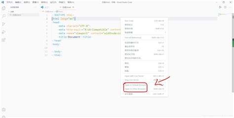HTML in vs Code 的图像结果