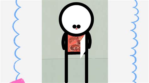 Animation Meme Compilation 的图像结果