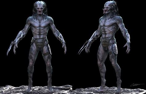 Predator Design 的图像结果