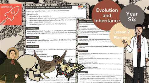 Image result for Evolution Lesson Videos