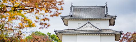 Osaka Weather in November - Weather, Activities and Travel Tips