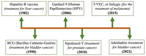 Cancer Vaccines in the Immunotherapy Era: Promise and Potential