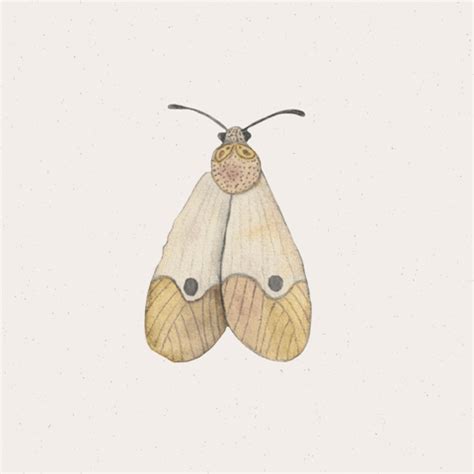 Image result for Pixel Animation GIF Moth