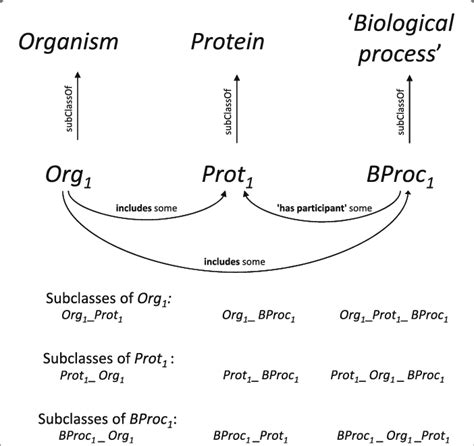 Image result for How to Write a Subclass