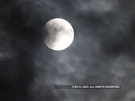 Pony Tale - Bizarre and weird poll promises made by candidates across ...