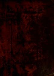 Image result for Douay-Rheims 1582