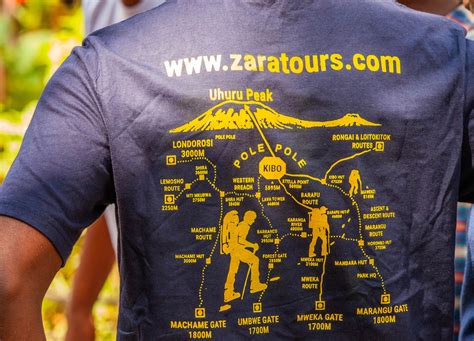 What Does Hakuna Matata Mean? - Zara Tanzania Adventures