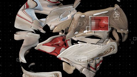 Image result for Splitting Me Open