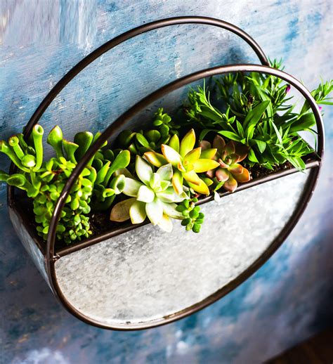 Wall-Mounted Planters at Ebony Heritage blog