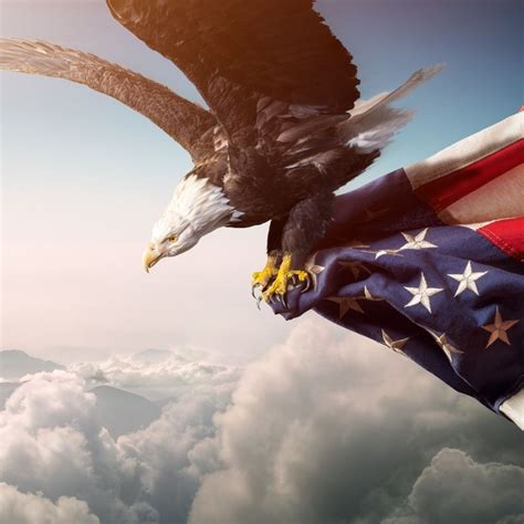 Vero Beach GUN SHOW, Indian River County Fairgrounds, Vero Beach, July ...