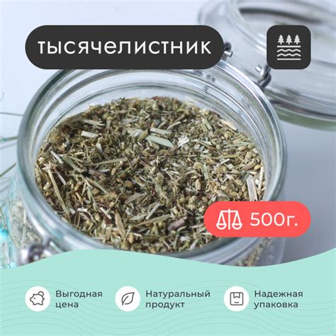 Тысячелистник трава сушеная , 500 грамм / Для отвара / Для настойки ...
