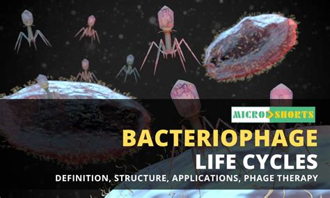 Image result for Lectin Pathway Animation