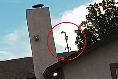 Image result for Alien Seen On Surveillance