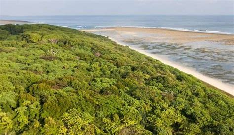 Little Andaman Island At A Glance: An Extensive 2026 Travel Guide!