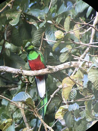 Monteverde Eco Tours - 2022 What to Know Before You Go (with Photos ...