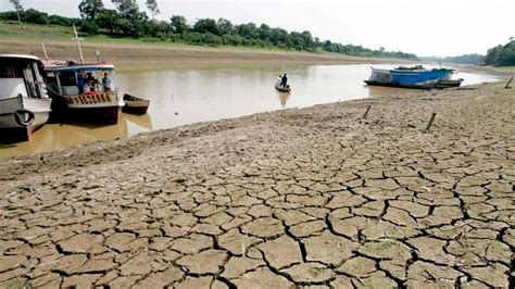 amazon river falls to lowest level in last 100 years brazil affected by ...