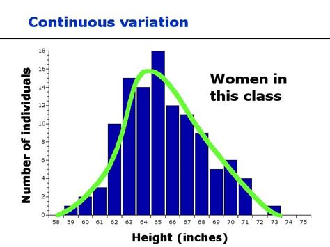 Image result for Continuous Variation Examples in Humans
