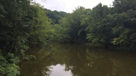 Broken pipe causes sewage to dump into Dubuque creek