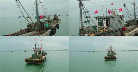 虎门新湾197艘渔船出海，你的海鲜在路上！