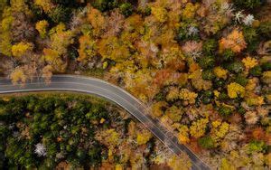 Wallpaper road, winding, aerial view, forest, trees hd, picture, image