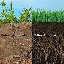 Buy Going Greens Gypsum for Plants Natural Soil Conditioner for Lawn ...