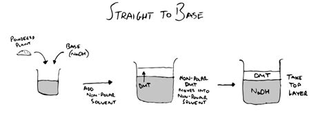 DMT Extraction Tutorial 的图像结果