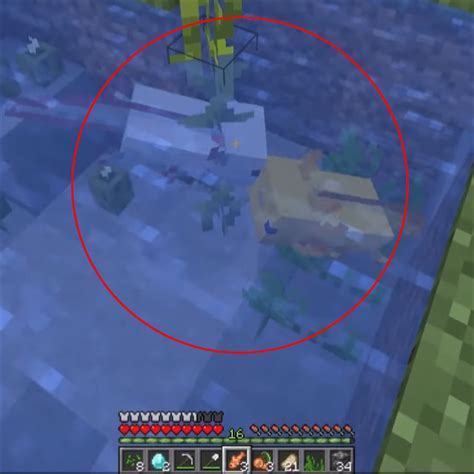 Image result for Minecraft Axolotl Farm Tutorial