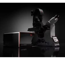 Buy STELLARIS 8 Confocal Microscope Platforms STELLARIS 8 in India ...