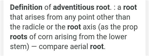 adventitious Roots definition - Brainly.in