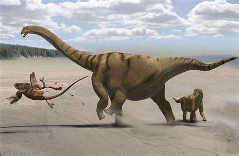 为什么恐龙会灭绝?_百度知道