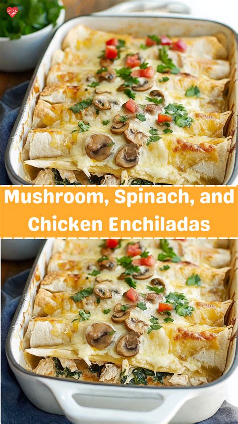 Mushroom, Spinach, and Chicken Enchiladas - Family Dinner Recipes