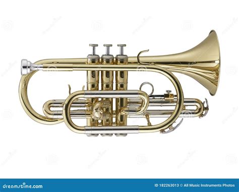Image result for Cornet Musical Instrument