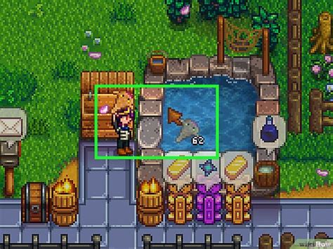How To Catch A Sandfish In Stardew Valley