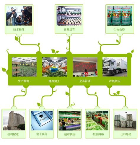 绿色生态农业公司起名-起名网