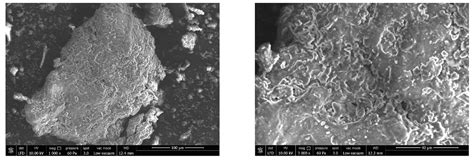 A New Approach for the Development and Optimization of Gluten-Free ...