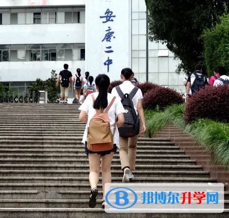 安庆第二中学2024年排名