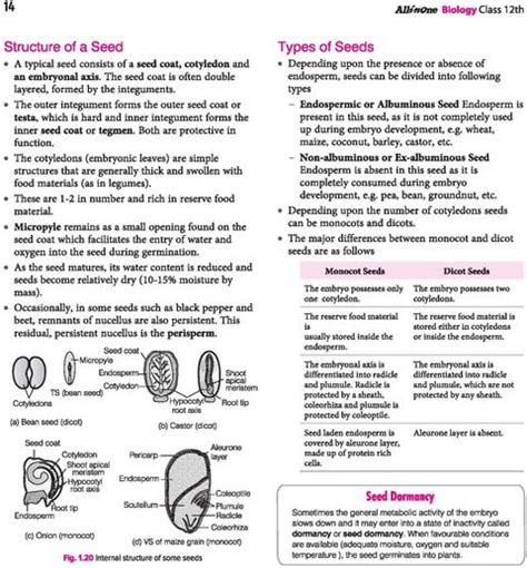 Arihant All in One Biology Class 12 for CBSE Exams 2025-26 Simplified ...