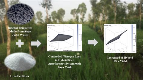 Short-Term Effect of In Situ Biochar Briquettes on Nitrogen Loss in ...
