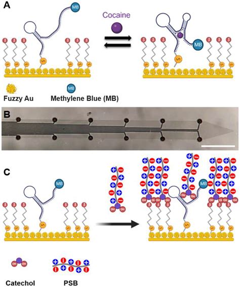 Recent Progress in Flexible Microelectrode Arrays for Combined ...