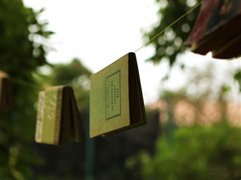 Desiderio Navarro: reconocido intelectual cubano | Meer