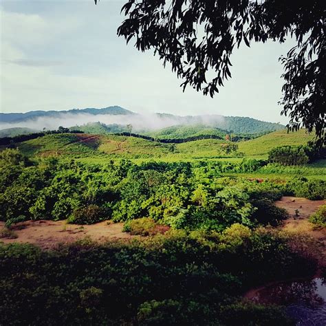 NÔNG TRẠI CƯỜNG RỪNG (Hung Trach) - B&B Reviews & Photos - Tripadvisor